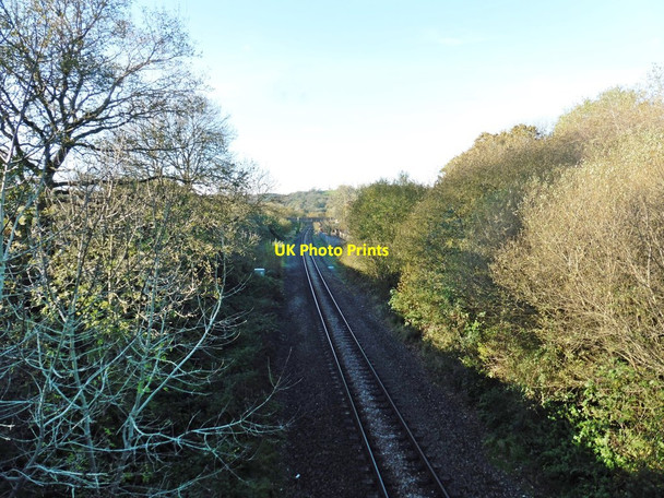Photo 6"x4" Railway line to Honiton and Exeter Hampton\/SY2696 c2017