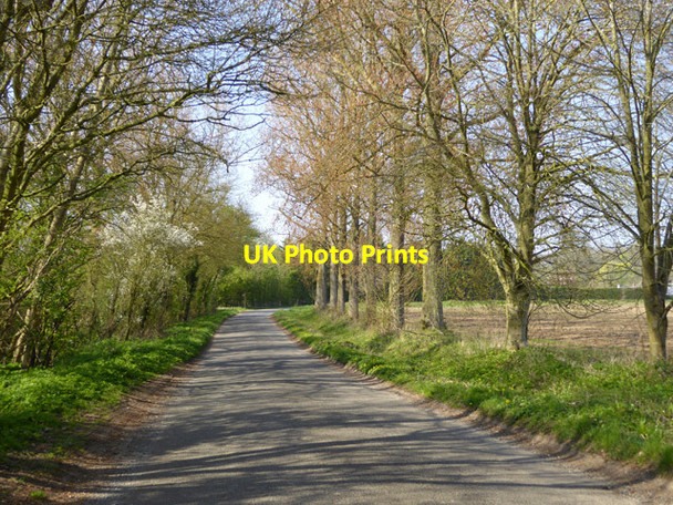 Photo 6"x4" Lane towards Genesis Green Park Gate\/TL7456 c2017