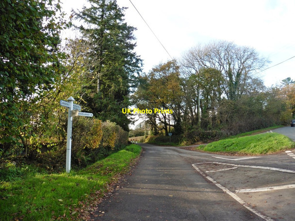 Photo 6"x4" Moorcox Cross Widworthy c2017