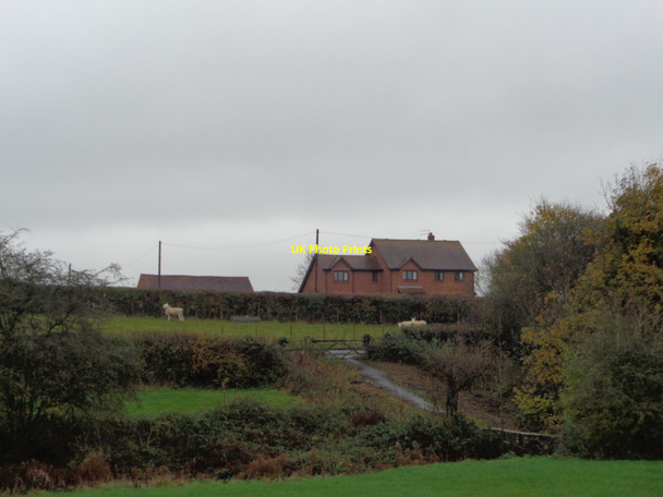 Photo 6"x4" Path up to Priory Farm Lane Inkberrow c2017
