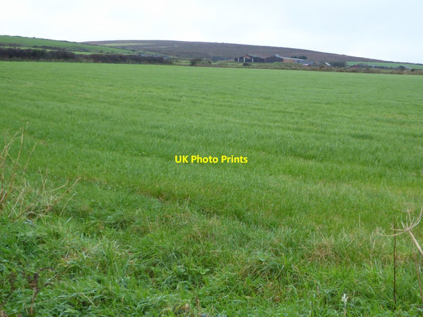 Photo 6"x4" Farmland near Tredinney Crows-an-wra c2017