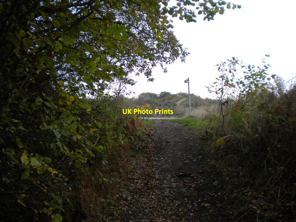 Photo 6"x4" Bridleway west of Hucknall (4) Greasley\/SK4947 c2017