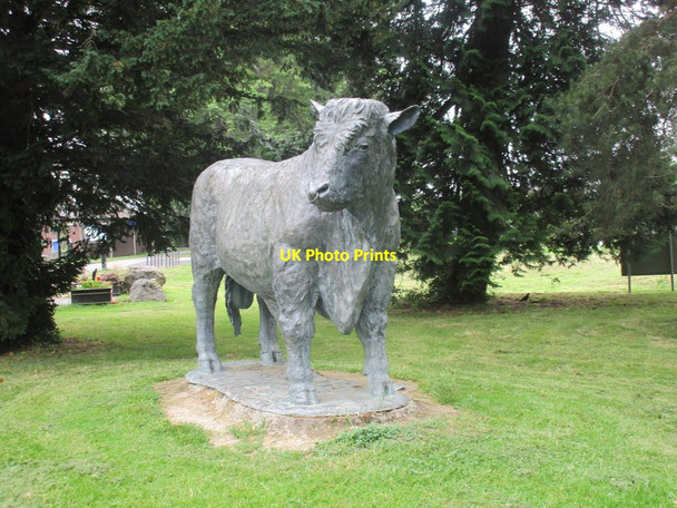Photo 6"x4" Caerynwch Tywysog Builth Wells\/Llanfair-Ym-Muallt c2017