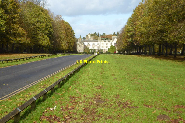 Photo 6"x4" Avenue approaching Coombe Abbey Hotel Binley Woods c2017