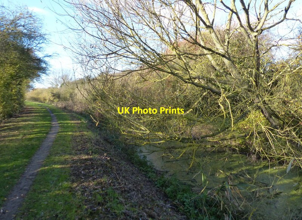 Photo 6"x4" Path along the derelict Grantham Canal Cotgrave c2017