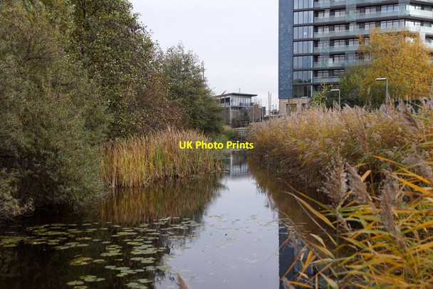 Photo 6"x4" Greenwich Ecological Park Greenwich\/TQ3977 c2017
