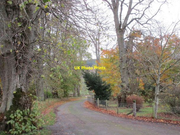Photo 6"x4" Stobo, driveway from the Manse and church Stobo c2017