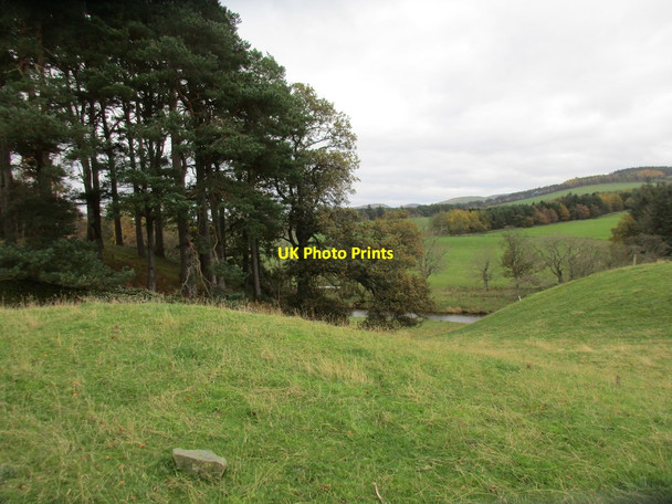Photo 6"x4" A glimpse of the River Tweed Hallyne c2017