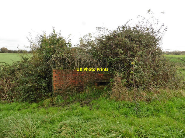 Photo 6"x4" WW2 pillbox, near River Brue Westhay\/ST4342 c2017