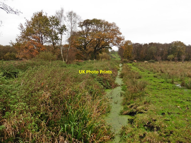 Photo 6"x4" Drain on Westhay Moor Bagley\/ST4545 c2017