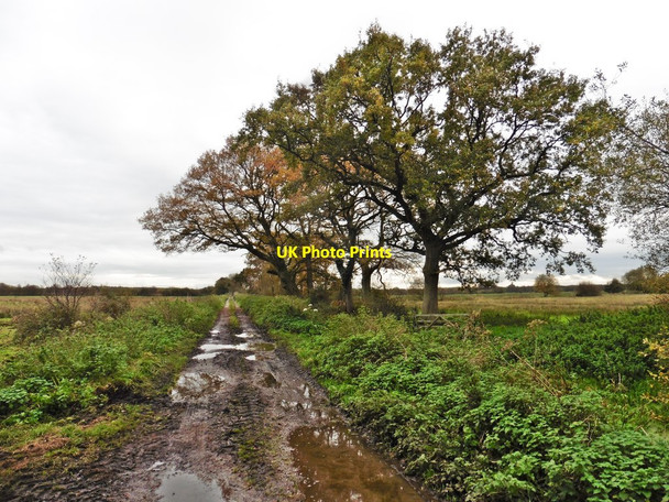 Photo 6"x4" London Drove Bagley\/ST4545 c2017