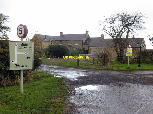 Photo 6"x4" South Dissington Medburn c2017