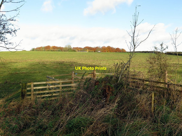 Photo 6"x4" Footpath south of Loudside Horsley\/NZ0966 c2017