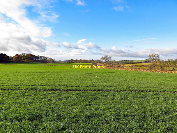 Photo 6"x4" Farmland near Whitchester Horsley\/NZ0966 c2017