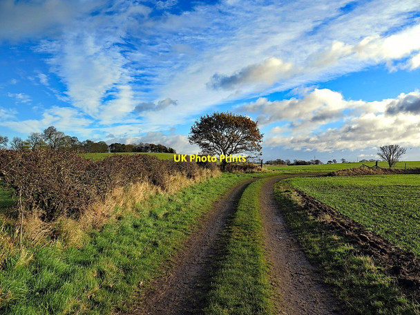Photo 6"x4" Track near Turpin's Hill Horsley\/NZ0966 c2017