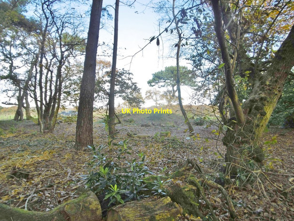 Photo 6"x4" East Holme, tumulus Wareham c2017