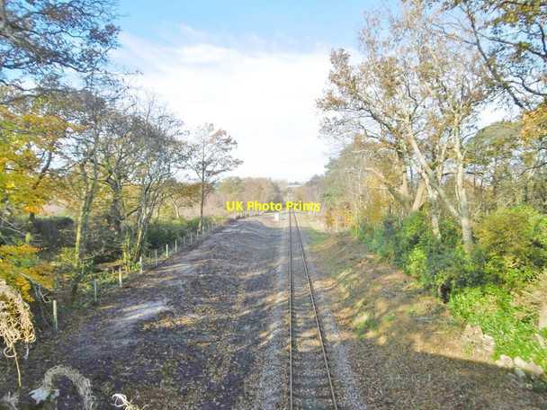 Photo 6"x4" East Holme, railway line Wareham c2017