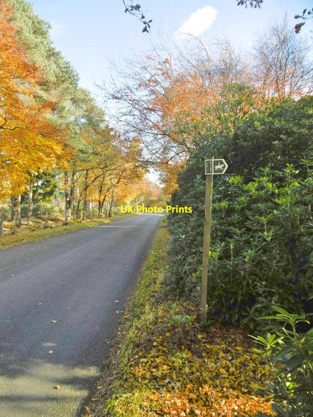 Photo 6"x4" East Holme, marker Wareham c2017