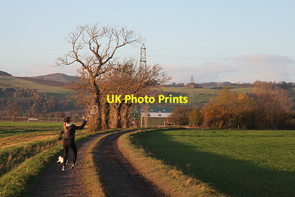 Photo 6"x4" Track to North Grange Grange\/NO2625 c2017