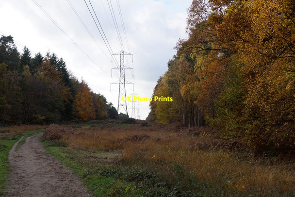 Photo 6"x4" Pylons crossing Esher Common Esher c2017