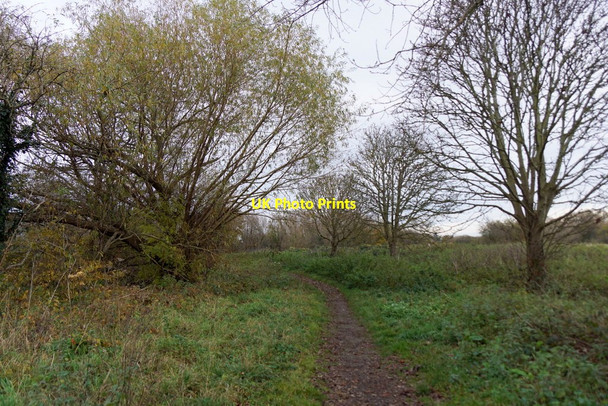 Photo 6"x4" Molesey Heath Nature Reserve East Molesey c2017