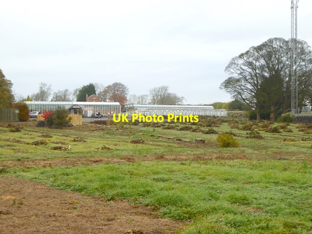 Photo 6"x4" Halls of Heddon Nurseries Houghton\/NZ1266 c2017