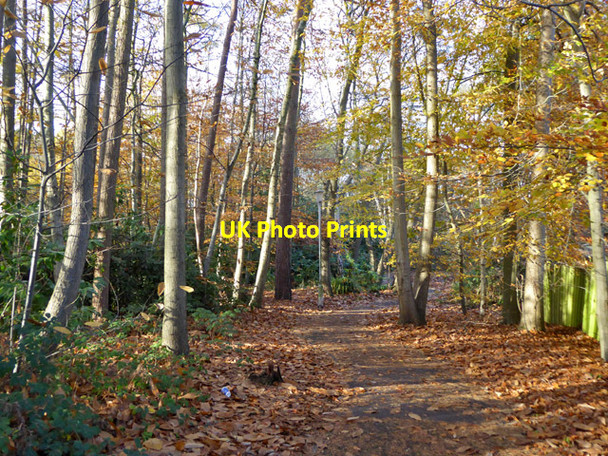Photo 6"x4" Path towards Opladen Way, Bracknell Bracknell c2017