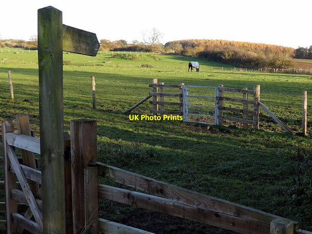 Photo 6"x4" Footpath east of Burnside Farm Bank Top\/NZ1466 c2017