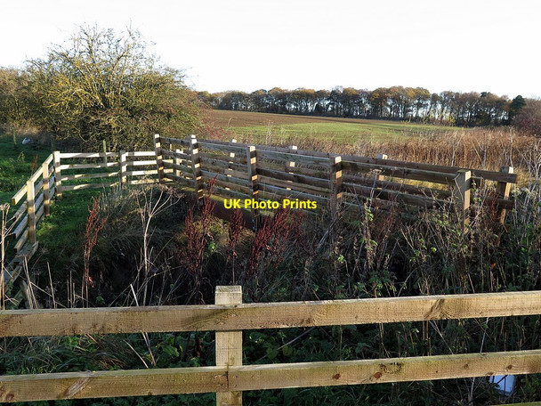 Photo 6"x4" Footbridge at Dewley Burn Bank Top\/NZ1466 c2017