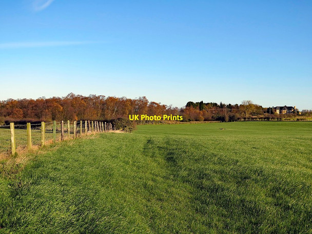 Photo 6"x4" Footpath near Callerton Common Bank Top\/NZ1466 c2017