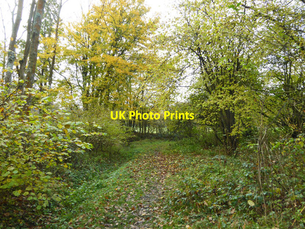 Photo 6"x4" Footpath west from Bigges Farm Slough Green\/TQ2826 c2017
