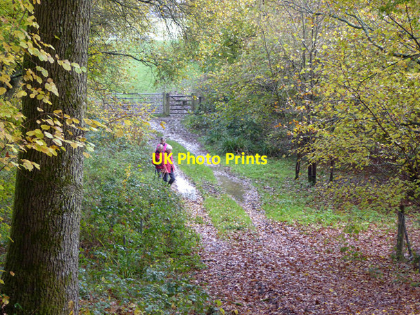 Photo 6"x4" Muddy and soggy footpath, Hammerhill Copse Slough Green\/TQ2826 c2017