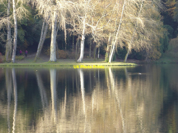 Photo 6"x4" Trees reflected in the Garden Lake, Stourhead Gardens Stourton\/ST7734 c2017