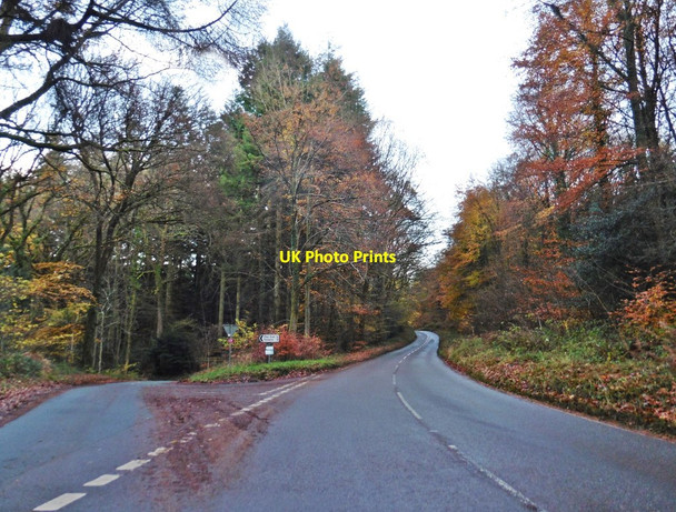 Photo 6"x4" Turning for Tintern The Cot c2017
