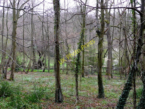 Photo 6"x4" Lea Bailey Inclosures 2 Lane End\/SO6419 c2009