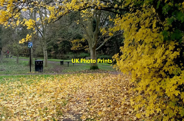 Photo 6"x4" Path next to Middleton Street in Aylestone Aylestone c2017
