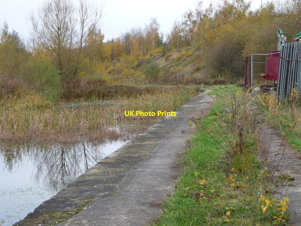 Photo 6"x4" The unnavigable Cromford Canal, north of Langley Mill Eastwood\/SK4646 c2017