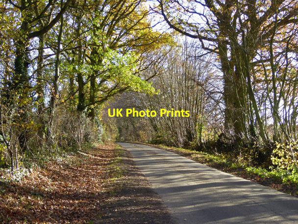 Photo 6"x4" Country lane Polstead c2017
