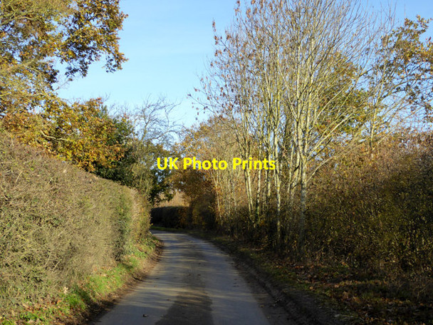 Photo 6"x4" Lane towards Polstead Heath Polstead c2017
