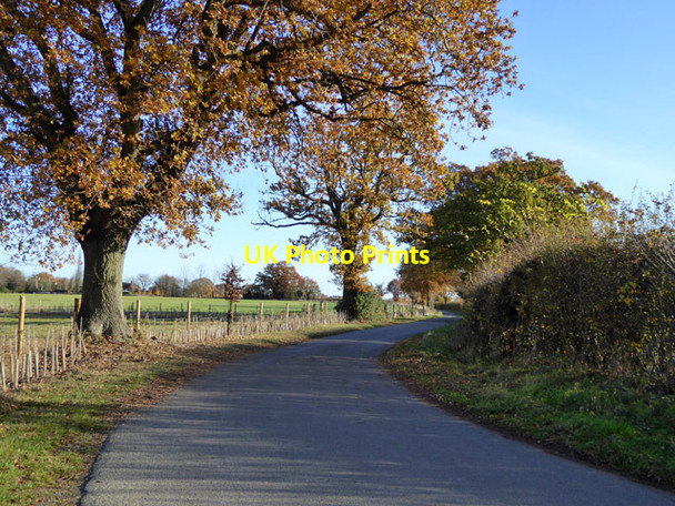 Photo 6"x4" Lane towards Shelley Priory Farm Polstead c2017