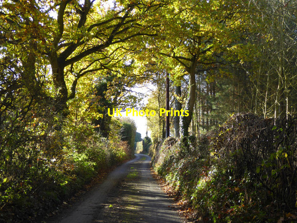 Photo 6"x4" Rectory Road, Langham Hornestreet c2017
