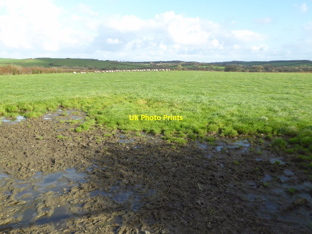 Photo 6"x4" Farmland near East Langford Farm Alfardisworthy c2017