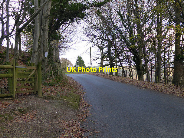 Photo 6"x4" Lane through Cwm Rheidol Nantyronen Station c2017
