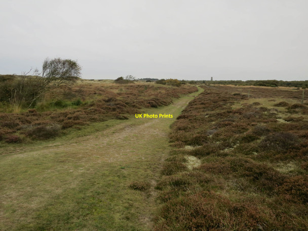 Photo 6"x4" Winterton Dunes East Somerton c2017