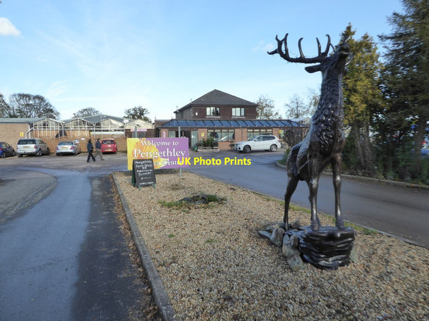 Photo 6"x4" Entrance to Pengethley Garden Centre Lower Grove Common c2017