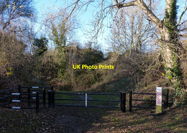 Photo 6"x4" Gate and path next to the Grantham Canal Cropwell Bishop c2017