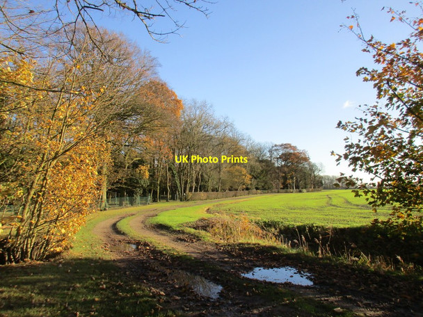 Photo 6"x4" Track by Enholmes Hall Patrington Haven c2017