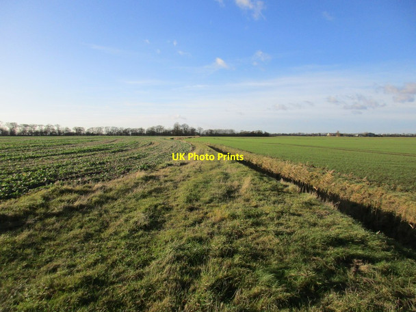 Photo 6"x4" Drain and Clough Plantation Patrington Haven c2017