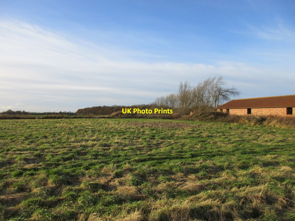 Photo 6"x4" Enholmes Farm and Enholmes Plantation Patrington Haven c2017