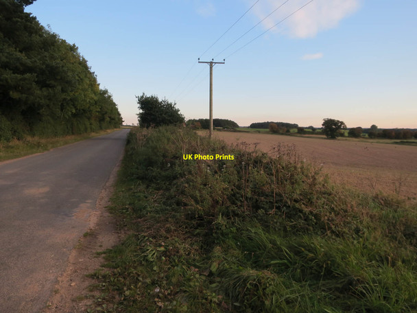 Photo 6"x4" Lane past Gap Plantation Matlaske c2017